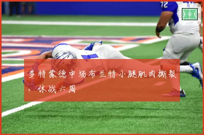 多特蒙德中场布兰特小腿肌肉撕裂，休战六周