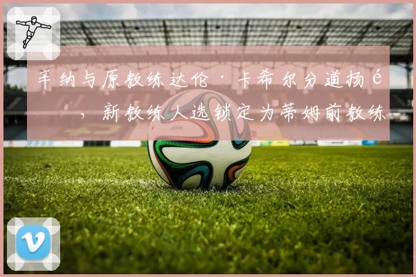 辛纳与原教练达伦·卡希尔分道扬镳，新教练人选锁定为蒂姆前教练