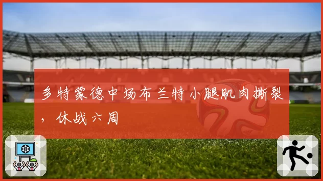 多特蒙德中场布兰特小腿肌肉撕裂，休战六周
