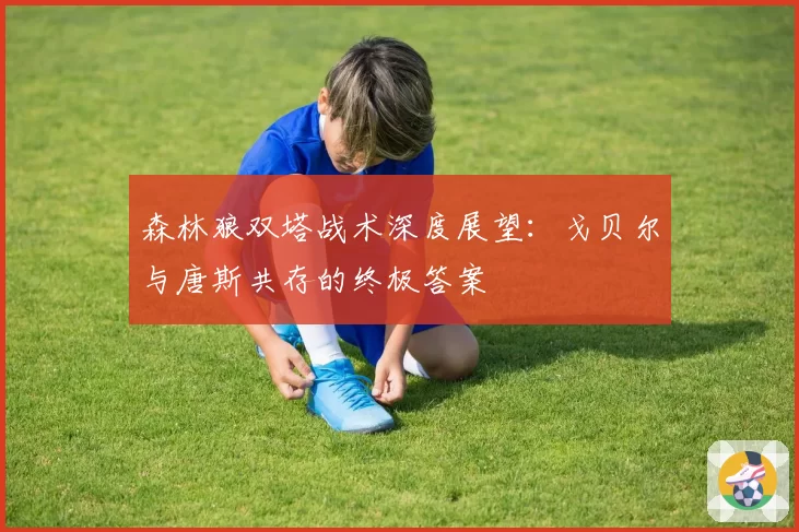 森林狼双塔战术深度展望：戈贝尔与唐斯共存的终极答案